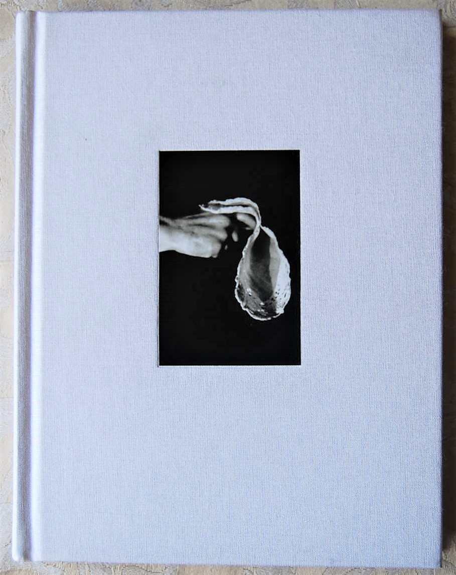 Cogliandro Maurizio LIDIA, IL CIELO CADE. LIDIA ... - Copertina