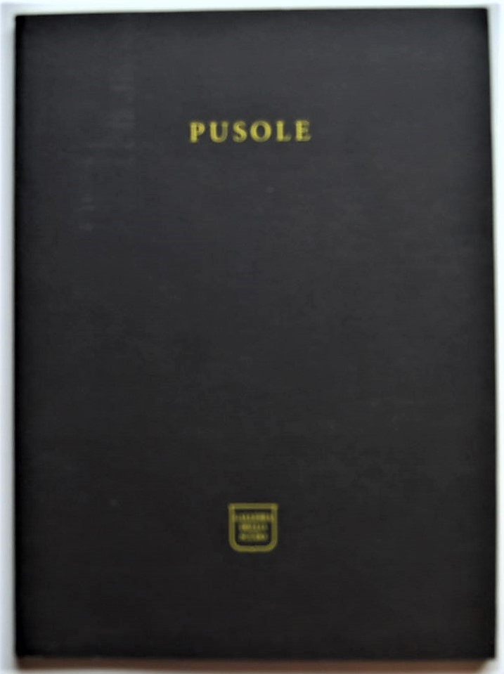 Paparoni Demetrio (A cura di) PUSOLE. STANDARD. ... - Copertina