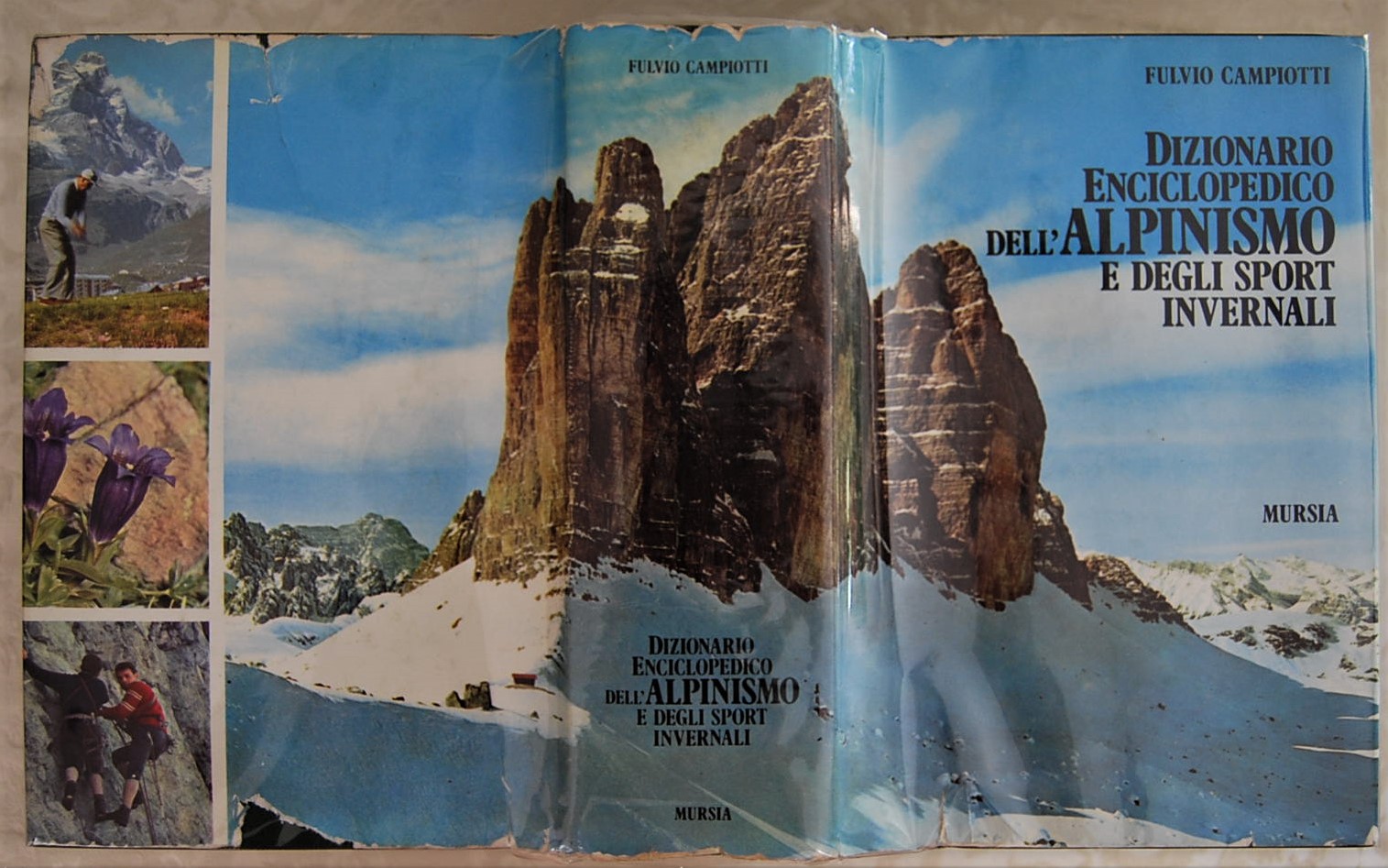 Campiotti Fulvio DIZIONARIO ENCICLOPEDICO DELL'... - Copertina